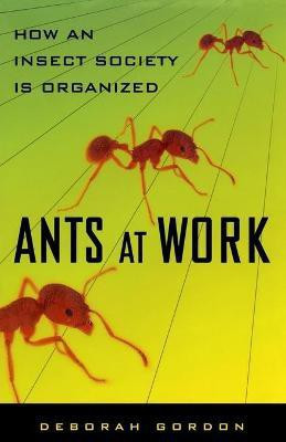 Ants At Work(English, Paperback, Gordon Deborah)