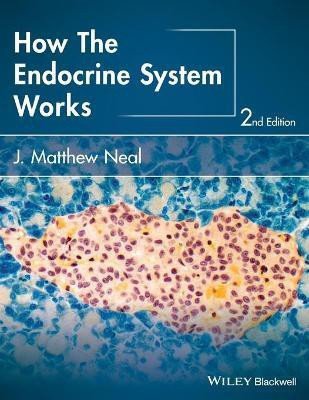 How the Endocrine System Works(English, Paperback, Neal J. Matthew)