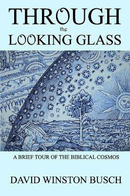 Through the Looking Glass(English, Paperback, Busch David Winston)
