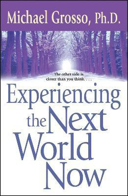 Experiencing the Next World Now(English, Paperback, Grosso Michael)