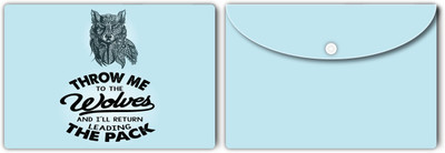 Nourish Plastic Document Folder(Set Of 2, Light Blue)