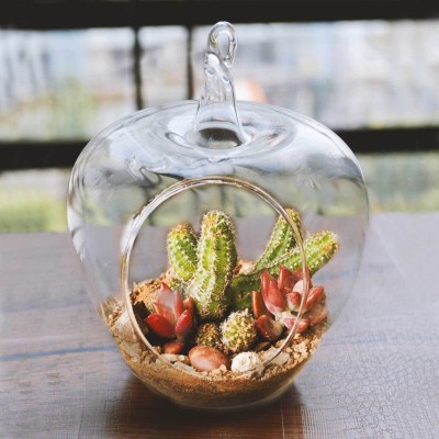 Leafy Dew Hanging Apple Glass Terrarium (4 Inch) with jute rope, snow white sand and white pebbles Indoor Planter Glass Terrarium for Succulents and AirPlant Plant Container Set(Glass)