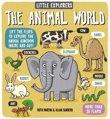 Little Explorers: The Animal World(English, Hardcover, Martin Ruth)