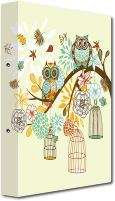 Nourish Cardboard Display File(Set Of 1, Multicolor)