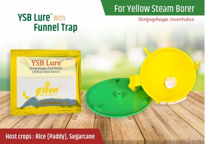 Green Revolution Pheromone Lure with Trap for Scirpophaga incertulas, Rice/Paddy Yellow Stem Borer (YSB Lure) For Trapping YSB (Scirpophaga incertulas) Moth/Insect Pack of 5.(5 x 1 Units)