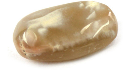 CRYSTU 93-Multi Moonstone Superior-Single-Tumble-Stone-1pc Polished Asymmetrical Crystal Pebbles(Beige 1 Pieces)