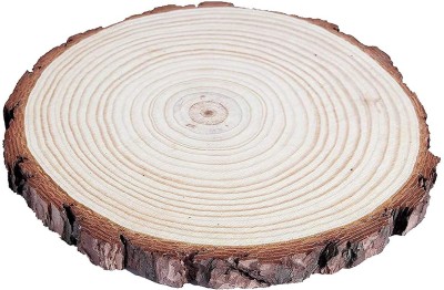 PRANSUNITA Big Size Natural Unfinished Wood Slice 7.5 – 8-inch, Round Wood Discs Tree Bark Wooden Circles for DIY Crafting Coasters Arts Crafts Home Decorations Vintage Wedding Ornaments