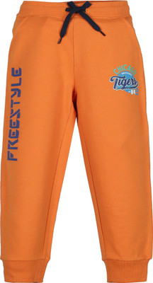 Plum Tree Track Pant For Boys(Orange, Pack of 1)