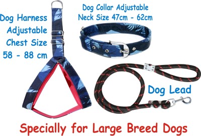 BODY BUILDING Dog Belt Combo of Blue Army Printed Dog Harness + Dog Collar + Black Lead Specially for Large Breeds Dog Harness & Leash(Large, Blue Black 3)