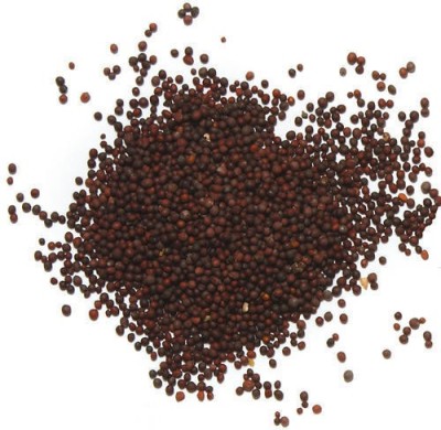 V Seed Sarso Mustard Seed Seed(500 per packet)