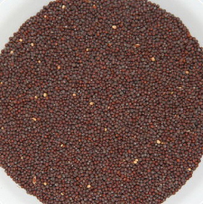 V Seed Rai Mustard Seed Seed(70 per packet)