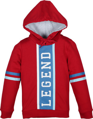 Plum Tree Full Sleeve Printed Boys Sweatshirt