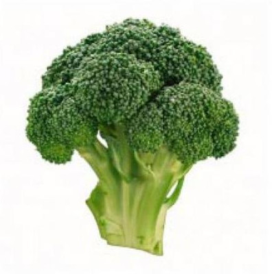 LYRS Desi Broccoli Seeds With 200gm Vermicompost Seed(15 per packet)