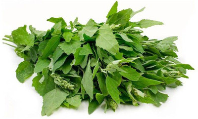 Audbhidhi Bathua Saag Winter Vegetable Seeds for Gardening & Planting Combo Seed(40 per packet)