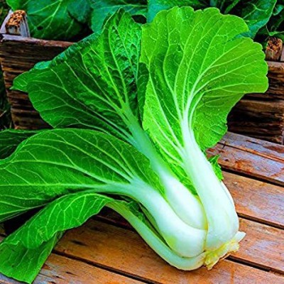 Audbhidhi Pak Choi Vegetable Seeds for Winter Home Gardening Seed(100 per packet)