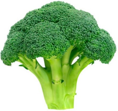LYRS Belstar Broccoli Seeds With 200gm Vermicompost Seed(100 per packet)