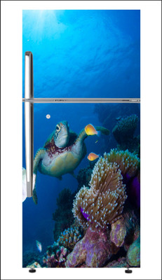 Non Plus Listing 60 cm JSS-FG0109 Self Adhesive Sticker(Pack of 1)