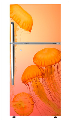 Decoration Designs 60 cm color palettes Self Adhesive Sticker(Pack of 1)