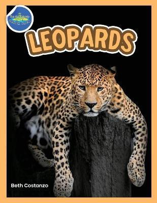 The Amazing World of Leopards Booklet with Activities ages 4-8(English, Paperback, Costanzo Beth)