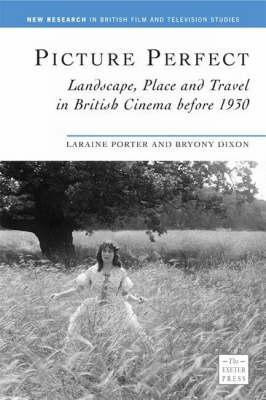 Picture Perfect(English, Paperback, Dixon Bryony)
