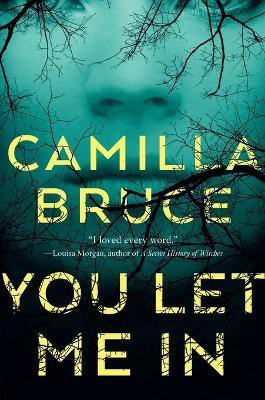You Let Me in(English, Paperback, Bruce Camilla)