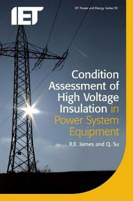Condition Assessment of High Voltage Insulation in Power System Equipment(English, Paperback, James R.E.)