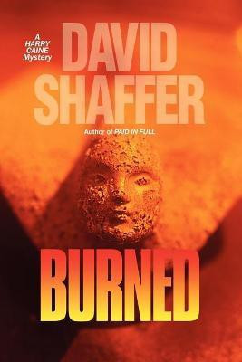 Burned(English, Paperback, Shaffer David MD)