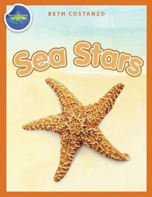 Sea Stars Activity Workbook ages 4-8(English, Paperback, Costanzo Beth)