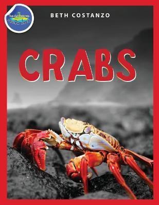 Crab Activity Workbook for Kids ages 4-8(English, Paperback, Costanzo Beth)