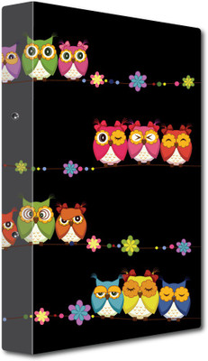 Nourish Cardboard Punchless File Folder(Set Of 1, Black)