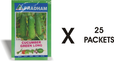 PRADHAM SEEDS Cucumber Seed(25 per packet)