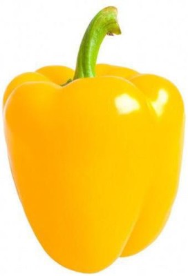 Audbhidhi Capsicum Yellow F1 Hybrid Winter Plant Seed for Home Garden Combo Vegetable Seed(20 per packet)