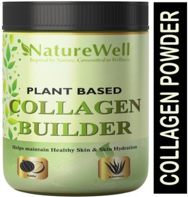 Naturewell Skin Booster Collagen powder with Vitamins in Orange Flavour (C13) Ultra(250 g)