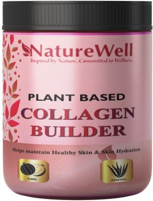 Naturewell Skin Booster Collagen powder with Vitamins in Orange Flavour (B13)(500 g)