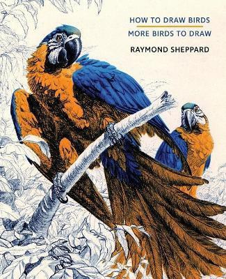 How to Draw Birds / More Birds to Draw(English, Paperback, Sheppard Raymond)