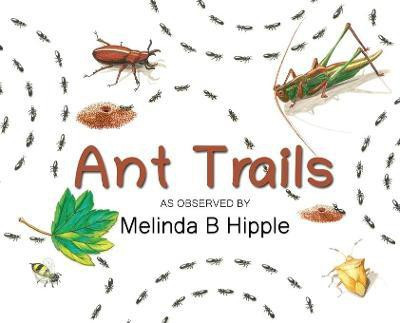 Ant Trails(English, Hardcover, Hipple Melinda B)