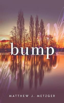 Bump(English, Paperback, Metzger Matthew J)