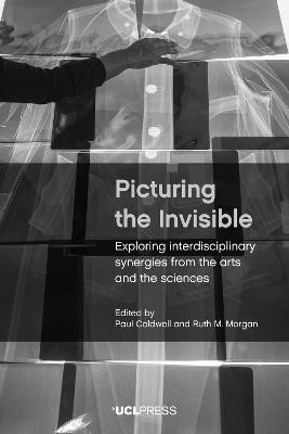 Picturing the Invisible(English, Paperback, unknown)