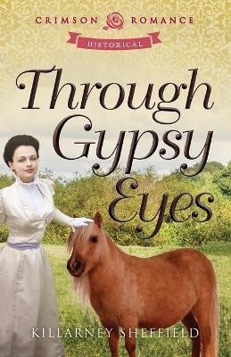 Through Gypsy Eyes(English, Paperback, Sheffield Killarney)