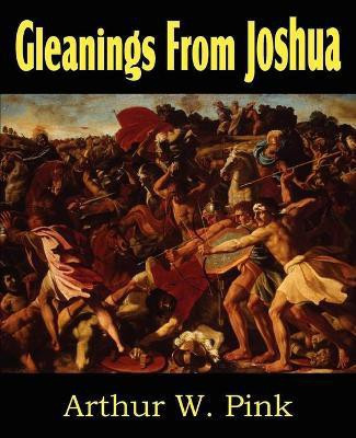 Gleanings from Joshua(English, Paperback, Pink Arthur W)