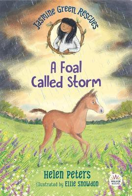 Jasmine Green Rescues: A Foal Called Storm(English, Paperback, Peters Helen)