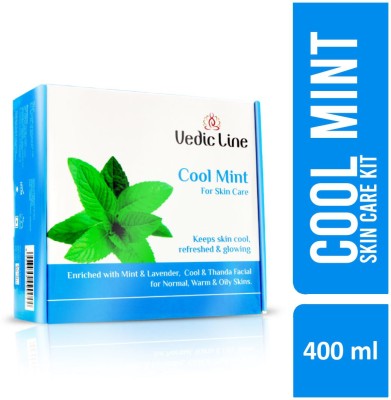 Vedic Line Cool Mint Facial Kit (For Normal, Warm & Oily skin)(4 x 100 ml)