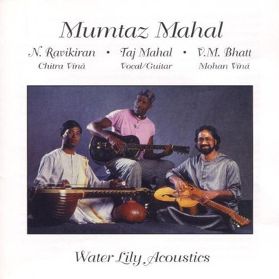 Mumtaz Mahal Audio CD Standard Edition(Hindi - Taj Mahal (Artist), & 2 More)