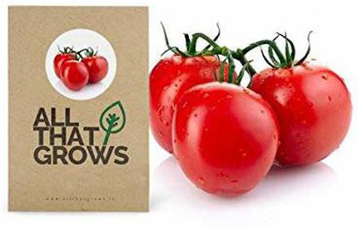 VibeX ™ XL-645-Tomato F1 Hybrid Heirloom Vegetable Seeds Seed(20 per packet)