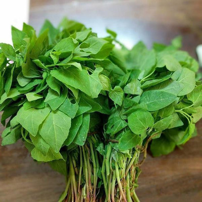 Audbhidhi Bathua Saag Winter Vegetable Seeds for Gardening & Planting Combo Seed(80 per packet)