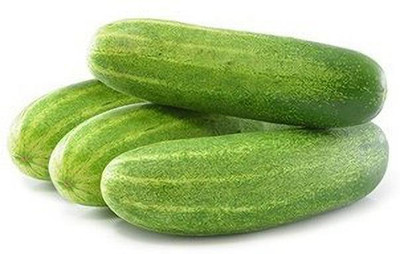 Audbhidhi Cucumber F1 Hybrid Summer Vegetable Seeds for Home Garden Combo Vegetable Seed(40 per packet)