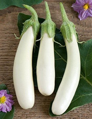 Sagarvanshi Organic White Long Brinjal 100 Seed(100 per packet)