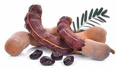 SM Exports Tamarind Seeds Seed(1 per packet)