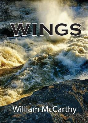 Wings(English, Paperback, McCarthy William E)
