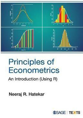 Principles of Econometrics(English, Paperback, Hatekar Neeraj R)